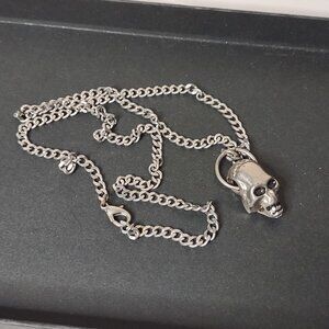 Very Cool 24 Inch Skull Pendant Necklace